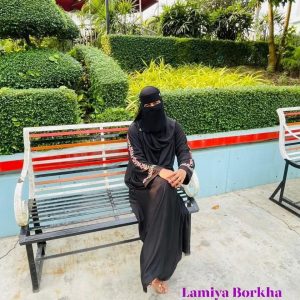 বাগান বিলাস ভারসন টু